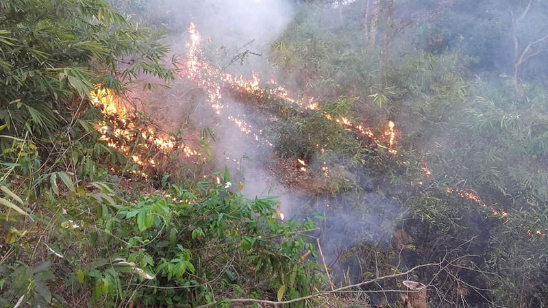 কমলগঞ্জের লাউয়াছড়া জাতীয় উদ্যান সংলগ্ন বেসরকারি সংস্থা হীড বাংলাদেশের পেছনের বনে জ্বলছে আগুন। ছবি: প্রথম আলো