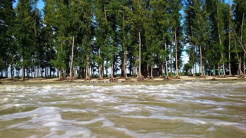 ঝাউবাগান পর্যন্ত সমুদ্রের পানি একবার উঠে আবার নেমে যায়। ছবি: লেখক