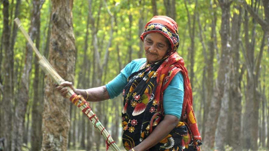 এই বয়সে কাজ করতে কষ্ট হয় আজিরন বিবির। ছবি: লেখক