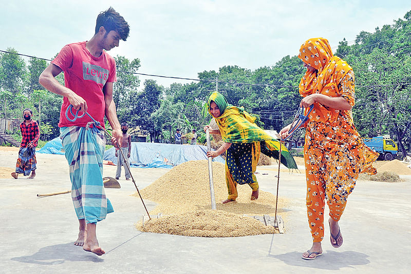 বোরো ধান তোলার পর তা শুকাতে ব্যস্ত গ্রামের নারী-পুরুষেরা। গতকাল দুপুরে কুমিল্লার বুড়িচং উপজেলার রামপুর এলাকায়।  ছবি: এম সাদেক