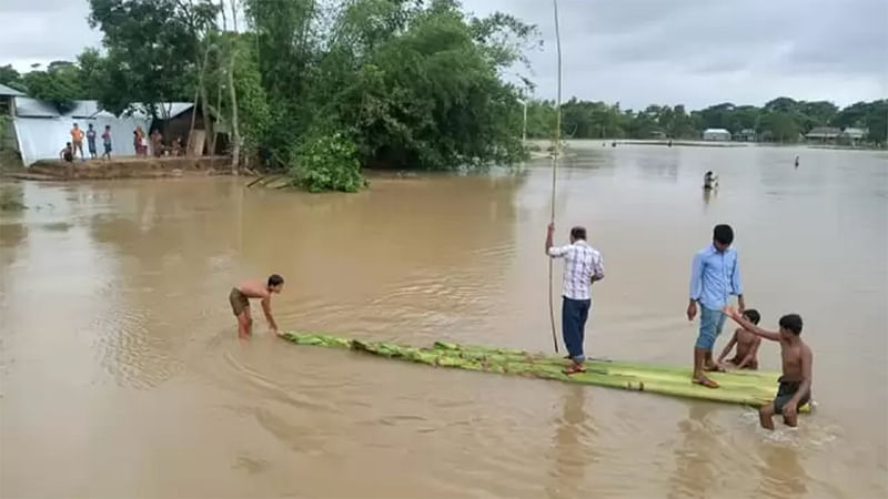 ফাইল ছবি।