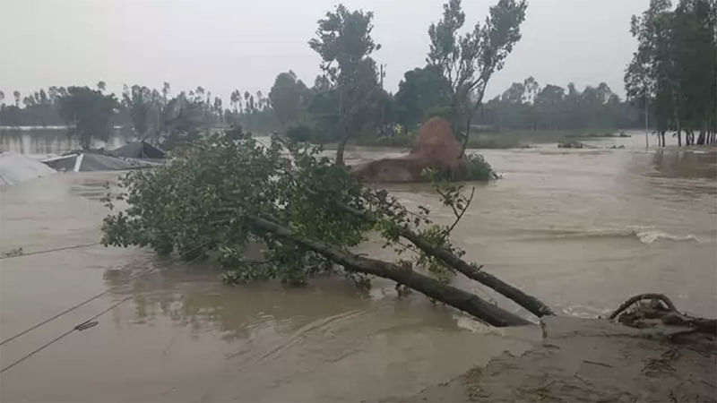 প্রথম আলো ফাইল ছবি।