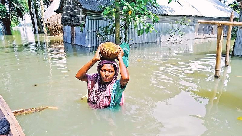 বন্যায় চারদিকে পানি আর পানি। মাথায় কাঁঠাল নিয়ে বুকপানি ভেঙে বাড়ি ফিরছেন রাবেয়া বেগম। গতকাল সকালে জামালপুরের দেওয়ানগঞ্জ পৌর শহরের আজিমনগর এলাকায়।  ছবি: আব্দুল আজিজ