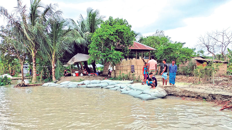 শরীয়তপুরে পদ্মার ভাঙনে বিলীন হয়ে যাচ্ছে বসতবাড়ি। ভাঙন ঠেকাতে বালুর বস্তা ফেলা হয়েছে। গতকাল জাজিরার উপজেলার বড়কান্দি ইউনিয়নের দুর্গারহাট এলাকায়।  ছবি: প্রথম আলো