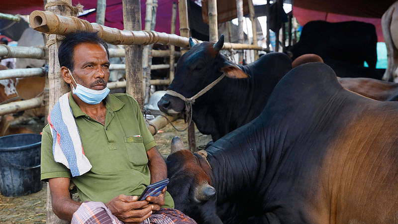 করোনা পরিস্থিতির কারণে এবার রাজধানীর পশুর হাটে ক্রেতা অনেক কম। ছবি: তানভীর আহাম্মেদ