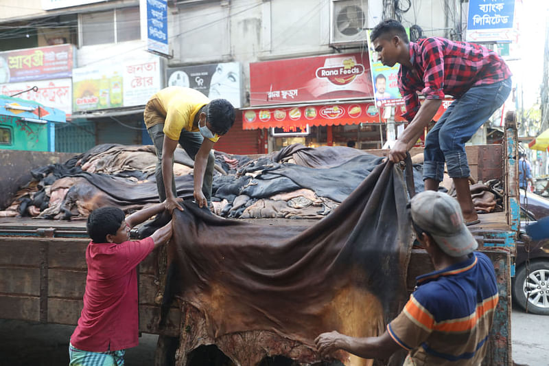 রাজধানীজুড়ে গতকাল শনিবার কোরবানির পশুর চামড়া সংগ্রহ করা হয়। জিগাতলা, ঢাকা, ১ আগস্ট। ছবি: আবদুস সালাম