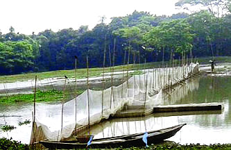 মুক্ত জলাশয়ে অবৈধ টানা জালের ব্যবহার। ছবি: সংগৃহীত