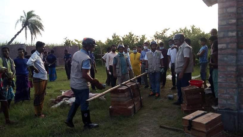 নাটোরের নলডাঙ্গা উপজেলার বৈদ্যনাথপুরে শাহাদৎ হোসেনের সাপের খামার থেকে গোখরো জাতের ৪৯টি সাপ জব্দ করা করা হয়। গতকাল বুধবার বিকেলে তোলা ছবি। ছবি: প্রথম আলো