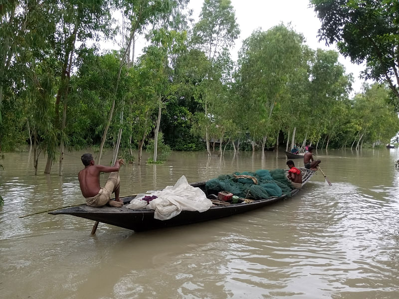 সংগৃহীত 