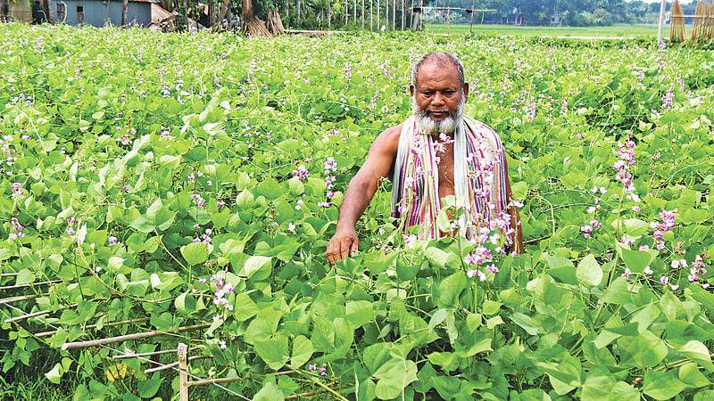 ছবি: হাসান মাহমুদ