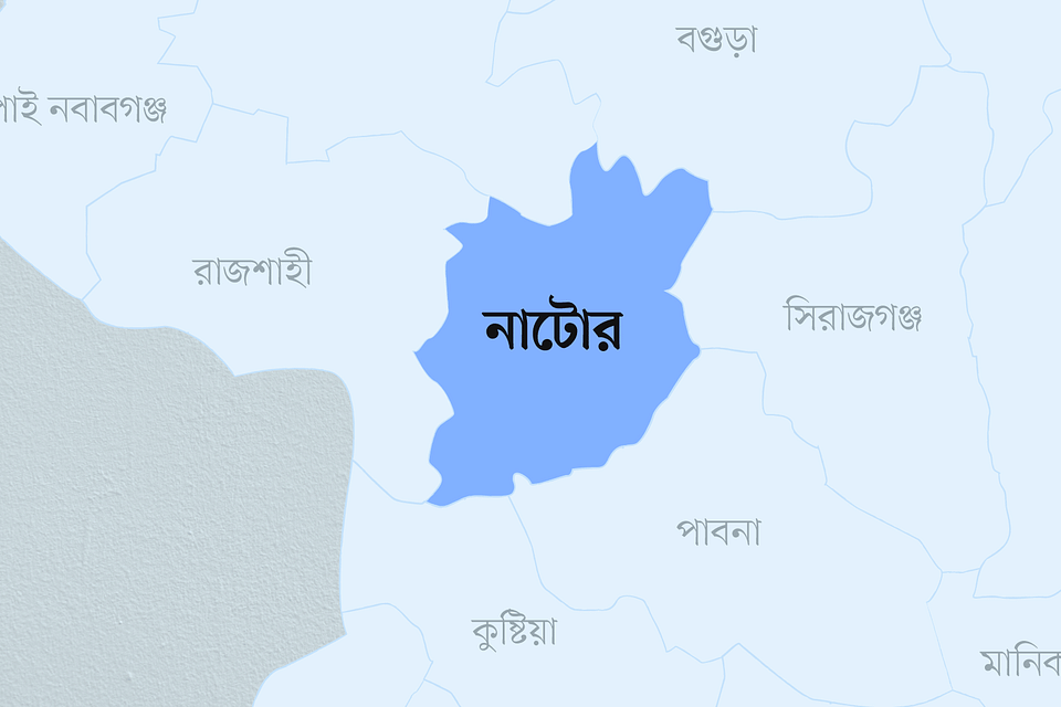 নাটোর জেলা