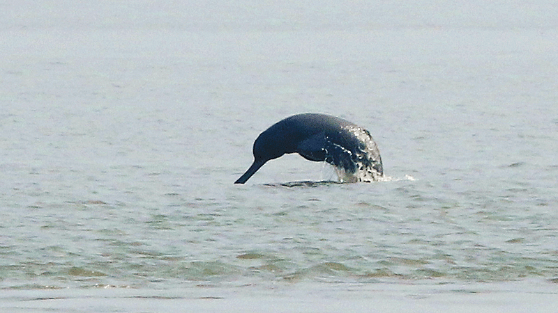 ছবি: মনিরুল খান