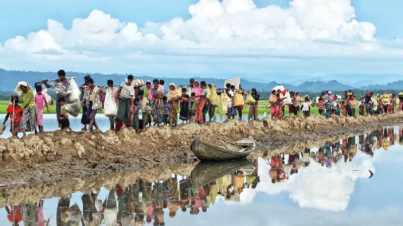 ফাইল ছবি