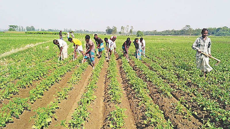 ছবি: প্রথম আলো