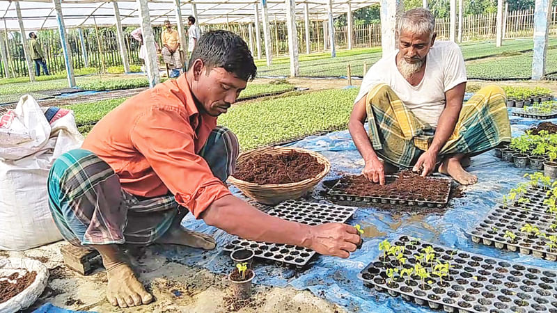 প্রথম আলো   