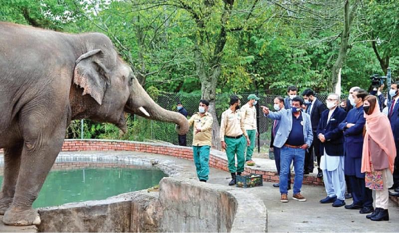 ‘কাভান’ যখন পাকিস্তানের চিড়িয়াখানায় িছল