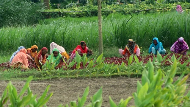 ছবি: প্রথম আলো