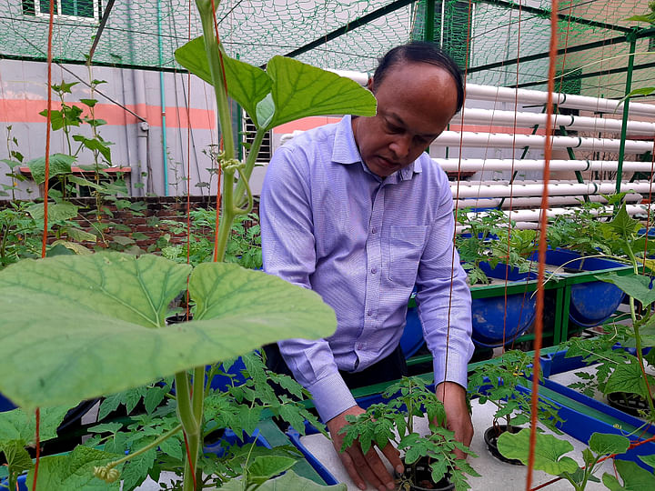 ছাদবাগানে হাইড্রোপনিক পদ্ধতি সবজির চাষ করছেন শাহ আলম