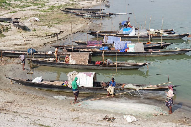 ছবি: প্রথম আলো   
