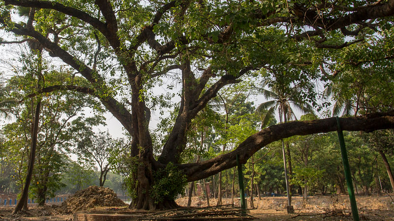 ছবি: হাসান রাজা