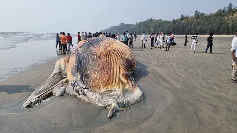  ছবি: আব্দুল কুদ্দুস