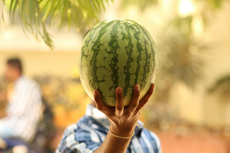 ভালো তরমুজ কেনার গোপন রহস্য
