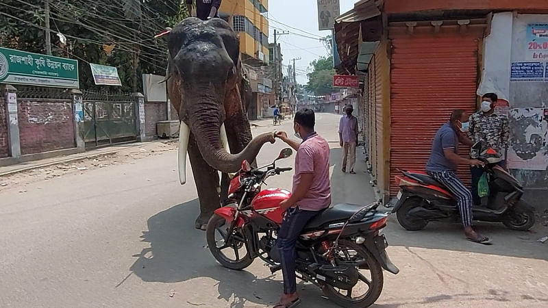 প্রথম আলো