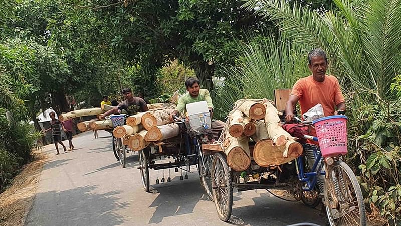 ছবি: মুক্তার হোসেন