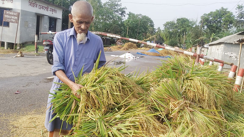 ছবি: প্রথম আলো