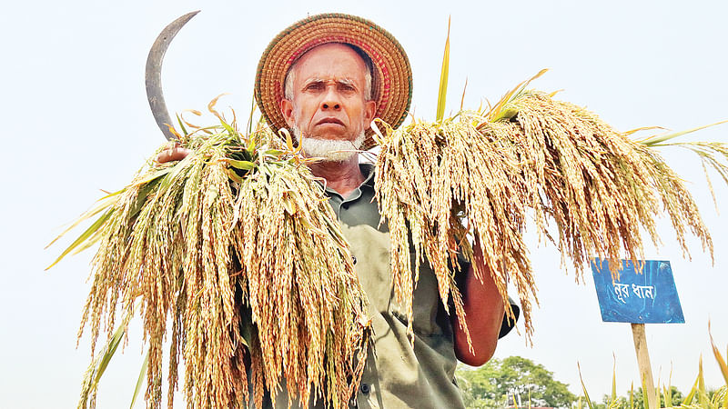  ছবি: প্রথম আলো