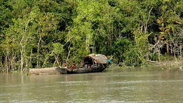 ফাইল ছবি