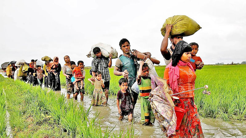 ফাইল ছবি