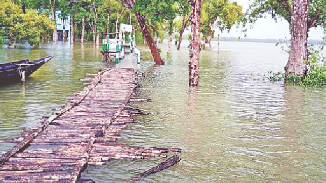 দ্বাররক্ষী দেখতে যতই ষণ্ডা–গুন্ডামার্কা হোক, মালিককে তাঁর শরীর স্বাস্থ্যের খোঁজ রাখতে হয়। সুন্দরবনের স্বাস্থ্য নিয়েও আমাদের ভাবতে হবে।