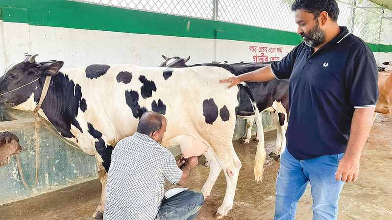 ছবি: ছুটির দিনে