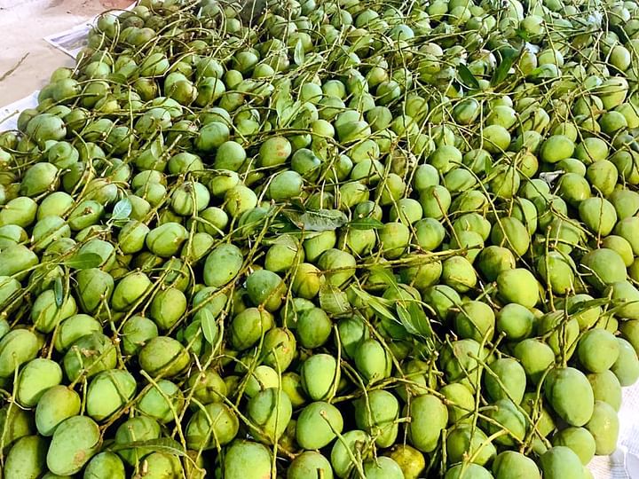 আমের উৎপাদন ভালো, দাম সহনীয়