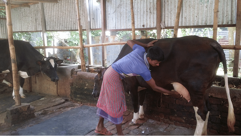 ছবি: প্রথম আলো