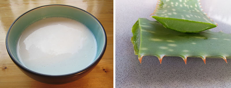 Coconut milk and aloe vera gel are effective in reducing sunburn on the skin