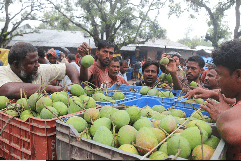 ফাইল ছবি, প্রথম আলো