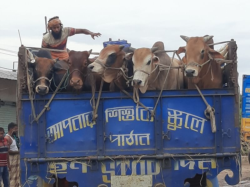 ফাইল ছবি