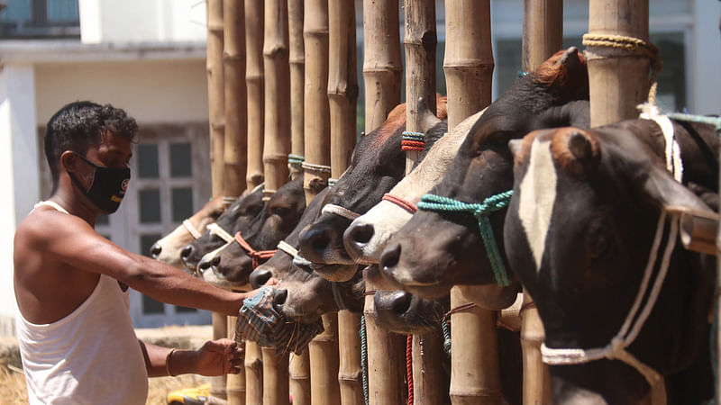 ফাইল ছবি: প্রথম আলো