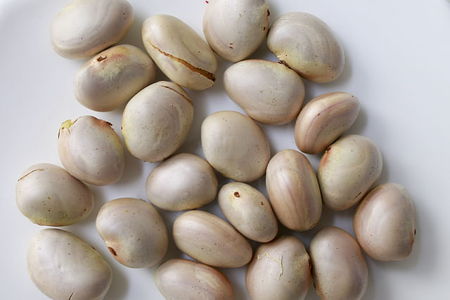 কাঁঠালের বিচির গুণাগুণ