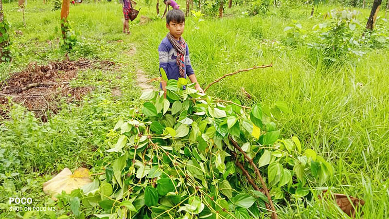 ছবি: প্রথম আলো