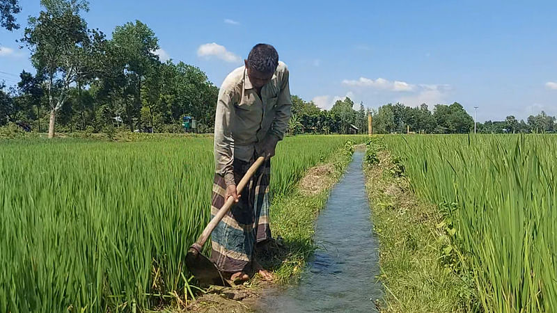 প্রথম আলোর ফাইল ছবি