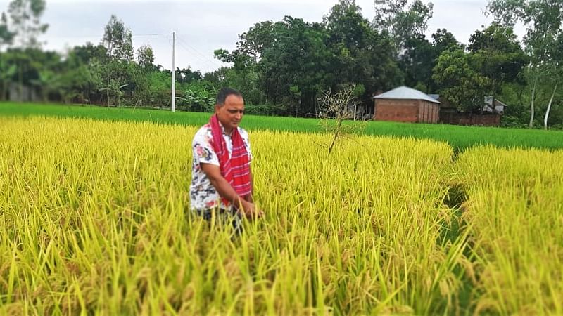  প্রথম আলোর ফাইল ছবি