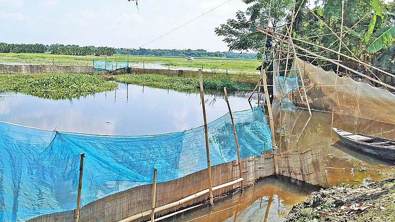 ছবি: প্রথম আলো