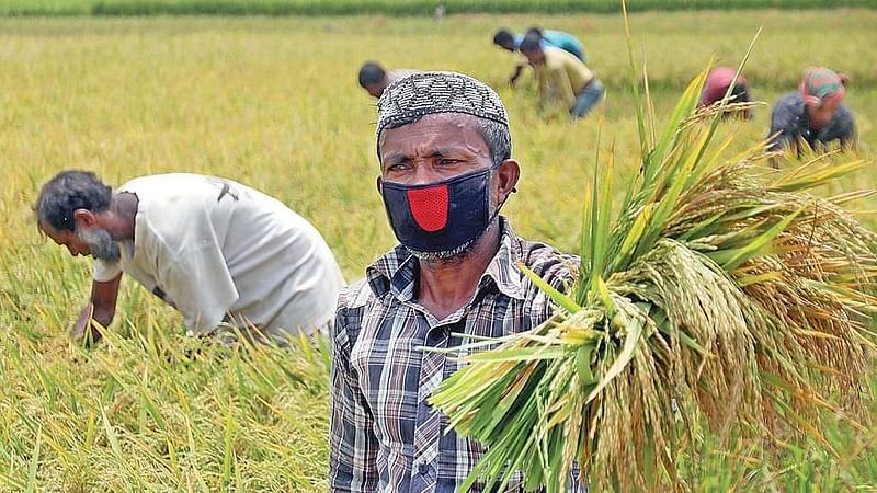 ফাইল ছবি: প্রথম আলো