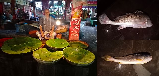 খুলনা বাজারে বিক্রেতারা কলাপাতা নিয়ে বসেছেন মাছ বরণ করতে। এসেছে জাভা, ভোলার মতো মাছ