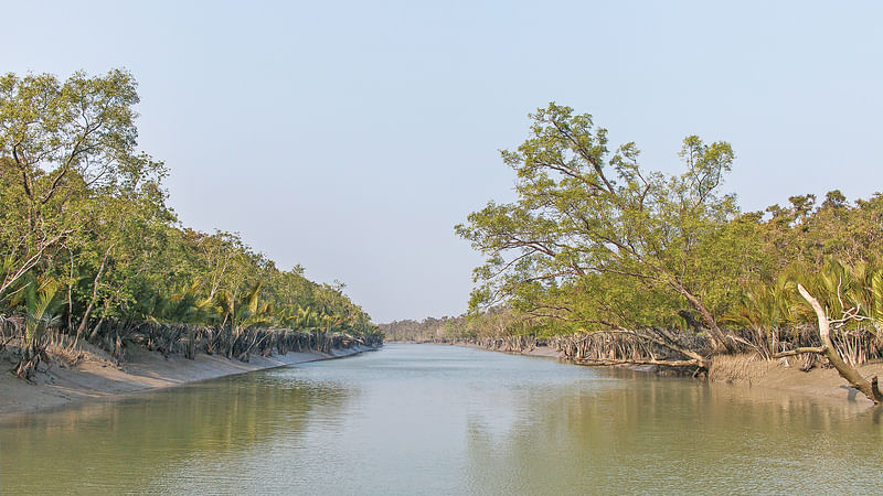 ছবি: মেহেদি হাসান