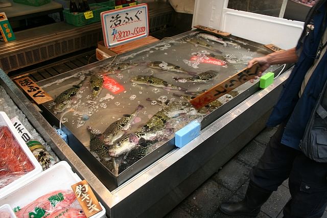 জাপানের ওসাকার বাজারে বিক্রি হচ্ছে ফুগু মাছ