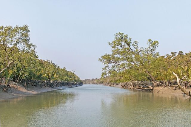 সুন্দরবন